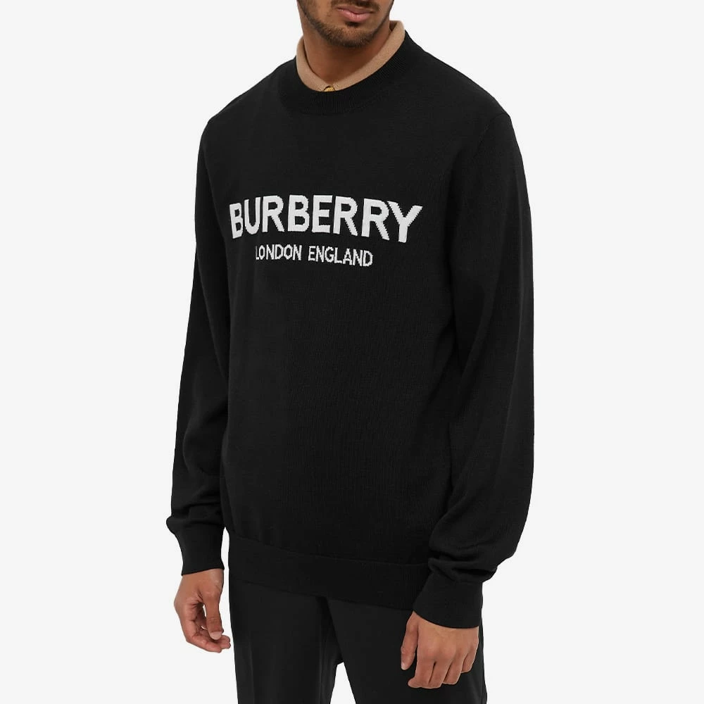 Burberry Fennel Logo Crew Knit 2 Burberry Fennel Logo Crew Knit - Image 2