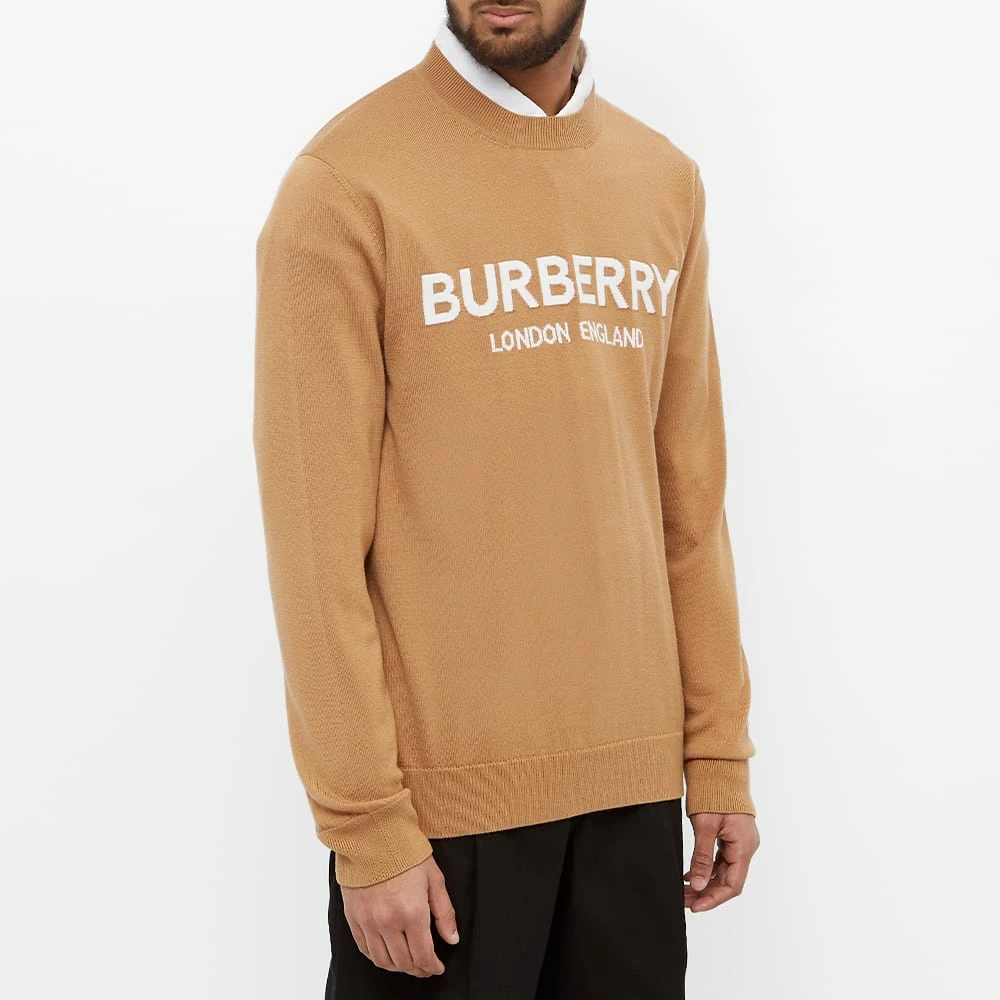 Burberry Fennel Logo Intarsia Knit 2 Burberry Fennel Logo Intarsia Knit - Image 2