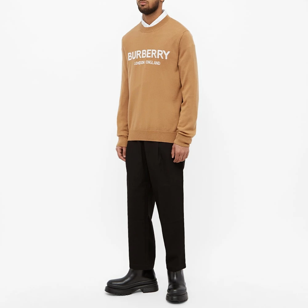 Burberry Fennel Logo Intarsia Knit 4 Burberry Fennel Logo Intarsia Knit - Image 4