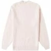 Auralee Brushed Mohair Crew Knit